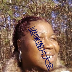 猫咪图片大全