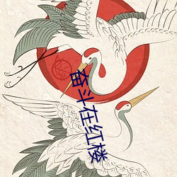 奮鬥在紅樓
