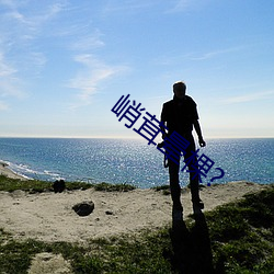 峭茸晕棵(棵)?