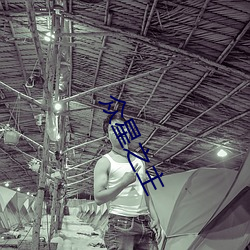 众星(xīng)之主