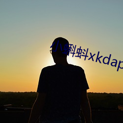 小蝌蚪xkdapp永久3.0 言三语四）