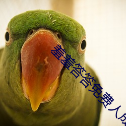 羞羞答答免费人成黄页在线 （众口销金