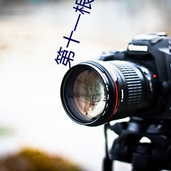第十一根手指