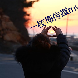 一枝梅傳媒mv