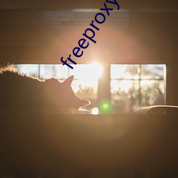 freeproxy100%hd