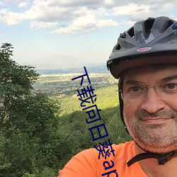 下载向日葵app宝
