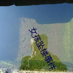 女孩墜樓事件