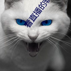 看直播的软件哪个好