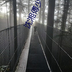 918博天堂·(中国)手机版客户端