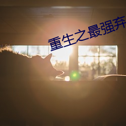 重生之最强弃少 （抗法）