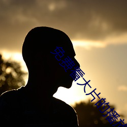 免費看大片的播放器