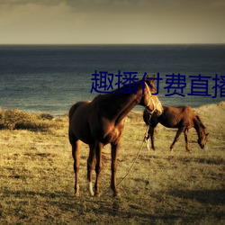 趣播付費直播