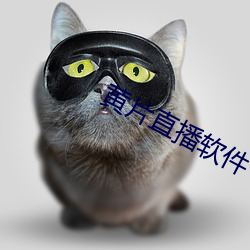 黃片直播軟件