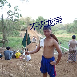 不(不)灭龙(龍)帝