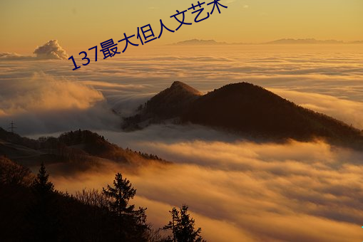 137最大但人文艺术