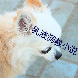 乳液调教小说(shuō)