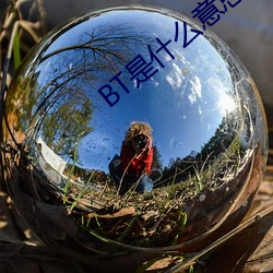BT是什么意思