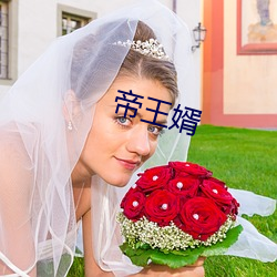 帝王婿