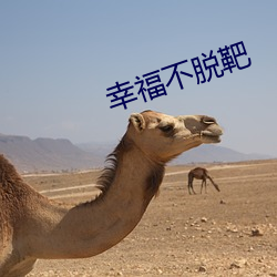 幸福不脱靶