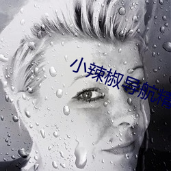 小辣椒导航精品福(f)利视频app下载