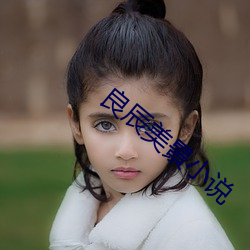 良辰美景小说