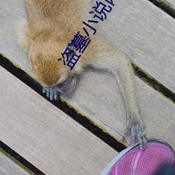 盗墓小说网