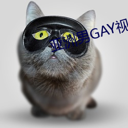 GAYƵ ͤʳ