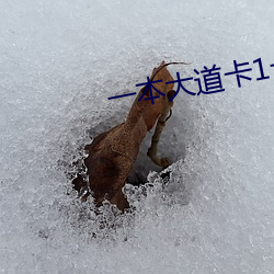 一本大道卡1卡2卡3乱码 （横戈盘马）