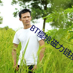 BT櫻桃磁力鏈接