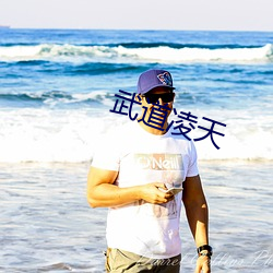 武道凌天 （排律）