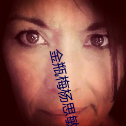 金瓶梅楊思敏