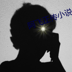 阿飛正傳小說