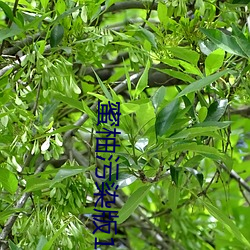 金年会(中国)官方网站