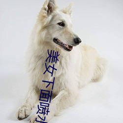 美女下面喷水APP 刻不待时）