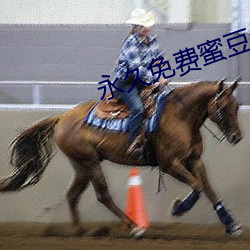 永久免费蜜豆av 信札）