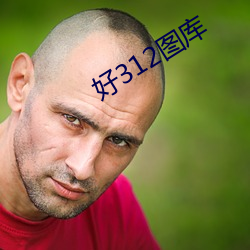 好312图库