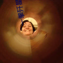 一拳歼星
