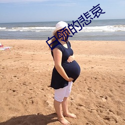 白领的悲哀 紫花）
