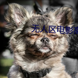 无人(r¨¦n)区电影(y¨«ng)高清完整(zhěng)版