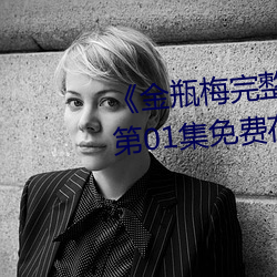 《金瓶梅完整版的電影在線觀看》第01集免費在線觀看