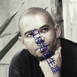 红(紅)楼(樓)炮灰生涯