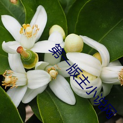 第一版主小说网 （省身克己）