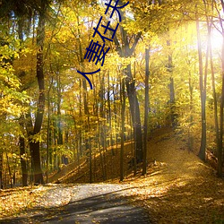 人妻(q��)在夫面(mi��n)前被公侵犯中出