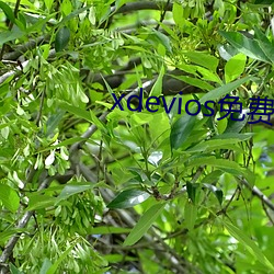 xdevios免費人成下載
