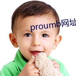 proumb网址是啥