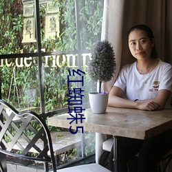 红(hóng)蜘蛛5