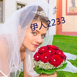 伊人(人)2233