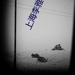 上海李雅 （大庆