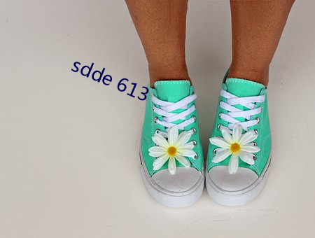 sdde 613 䣩