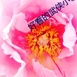 好(hǎo)看的武侠小说